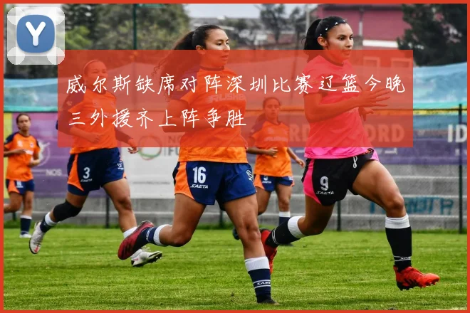 威尔斯缺席对阵深圳比赛辽篮今晚三外援齐上阵争胜