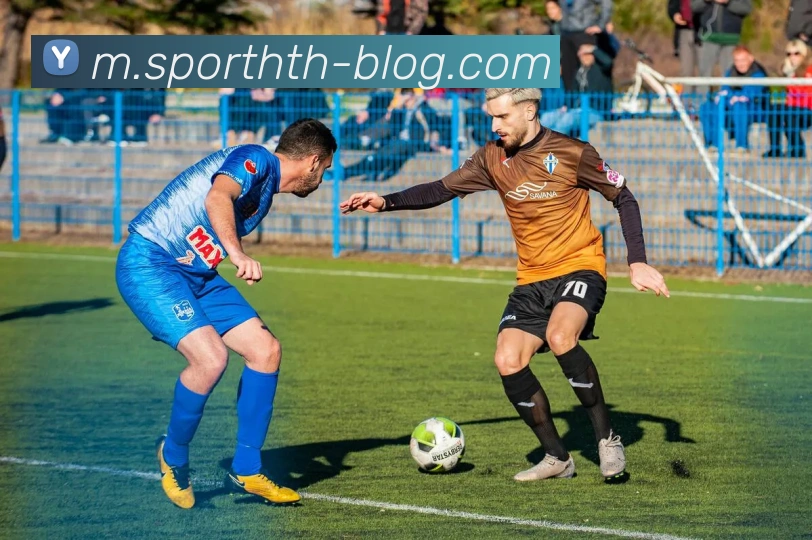 华体会体育服务体系